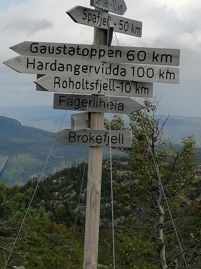 Norbel Hytte Norway Vradal Ngoại thất bức ảnh