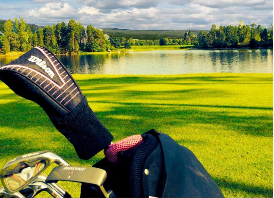 Norbel Hytte Norway Vradal Ngoại thất bức ảnh