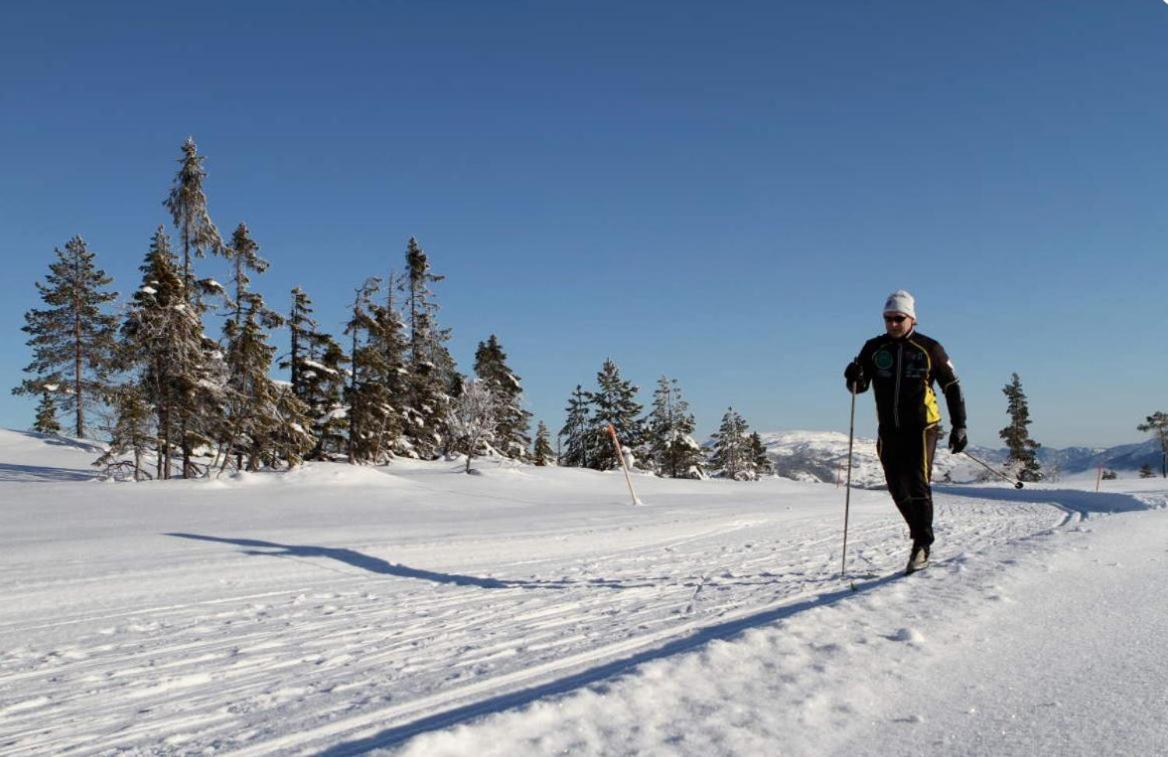 Norbel Hytte Norway Vradal Ngoại thất bức ảnh